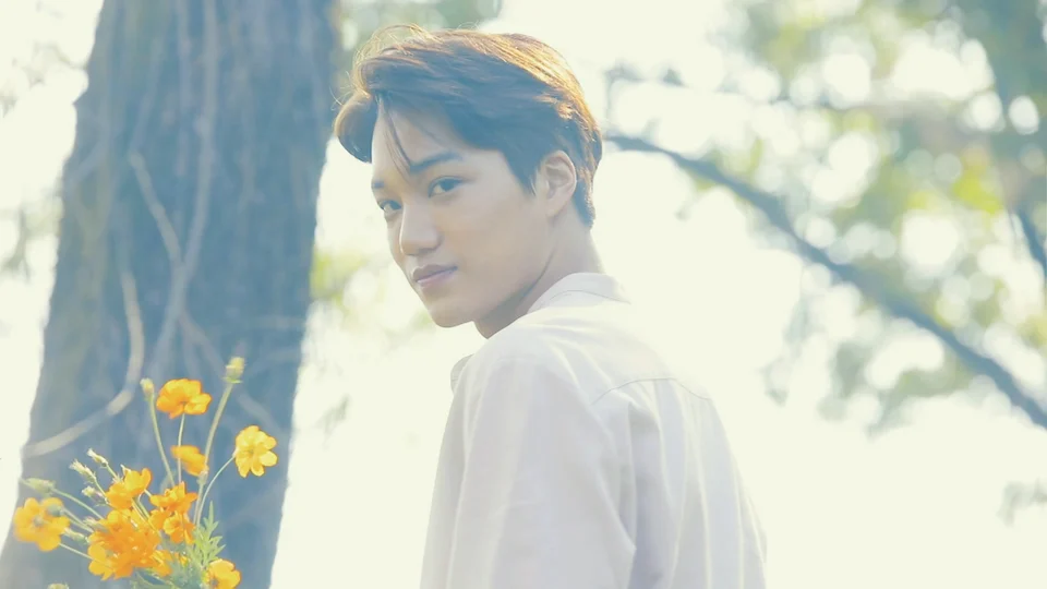Nature Republic x EXO