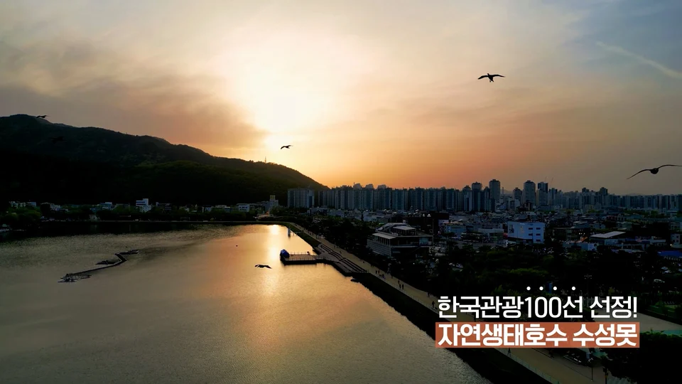 대구트립 App 스틸 이미지 2