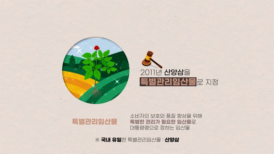 산양삼 품질관리제도 스틸 이미지 1